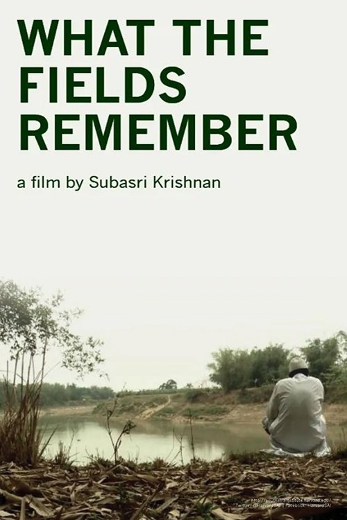 What the Fields Remember